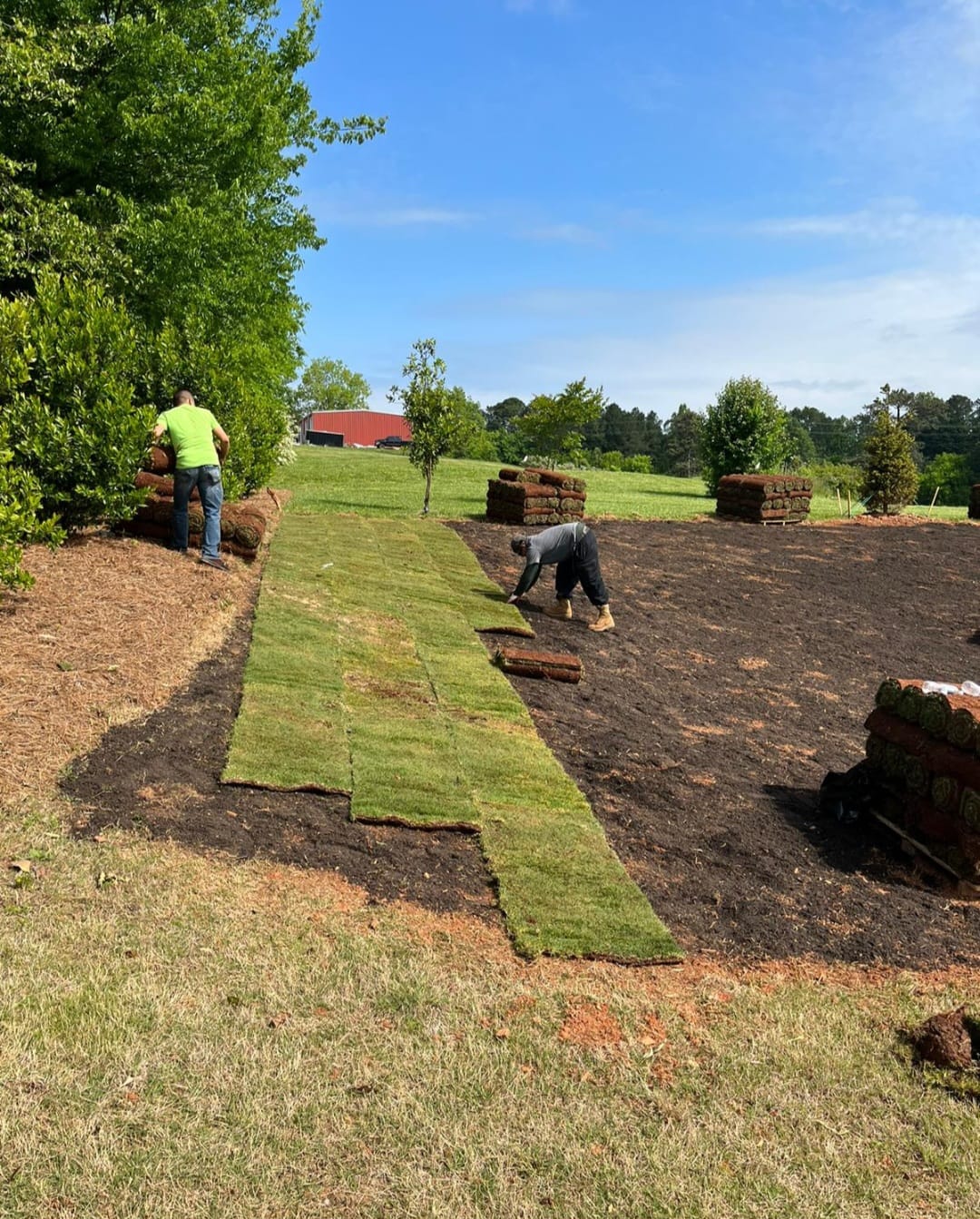 sod installation ga